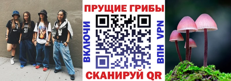 Псилоцибиновые грибы Psilocybine cubensis  Пугачёв 